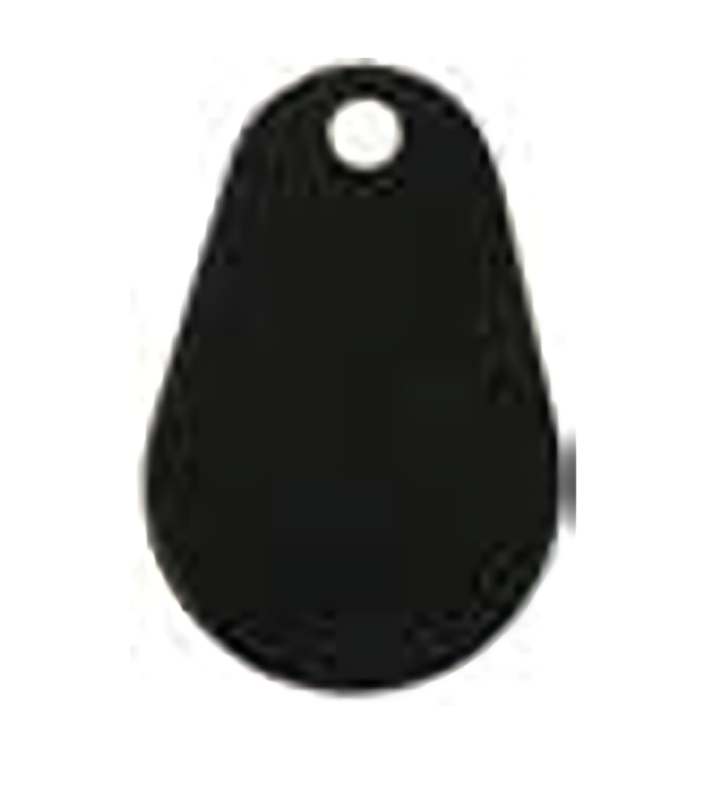 Pamex EK-KF Enkore Key Fob