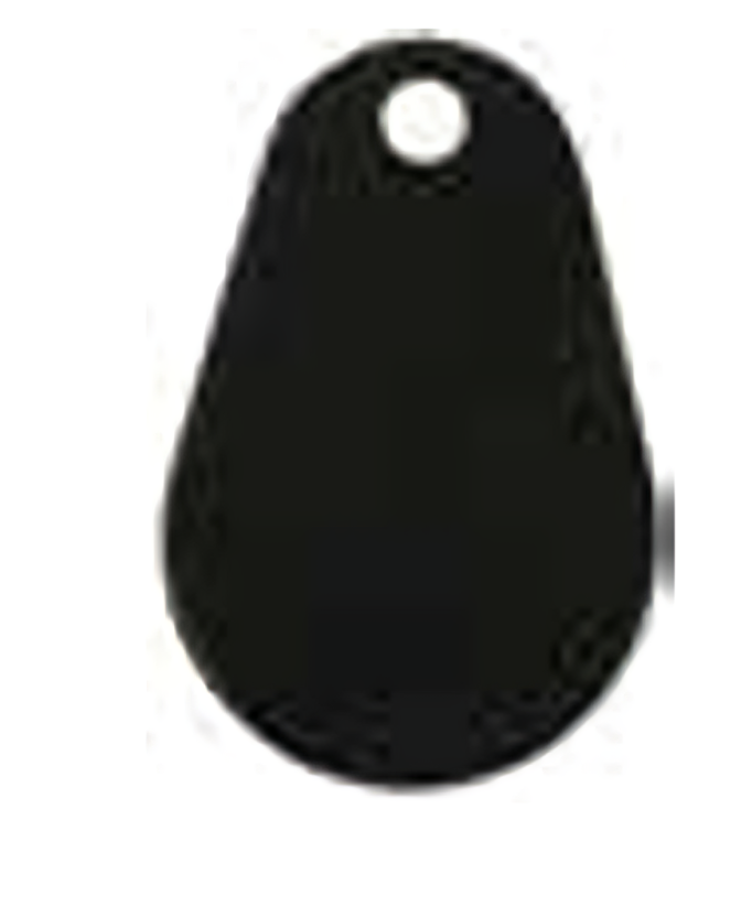 Pamex EK-DKF Enkore Dual Key Fob