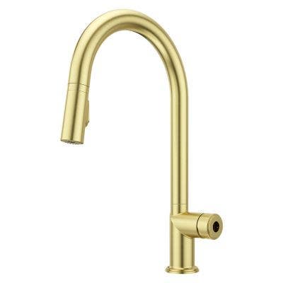 Pfister GT529-TNT Tenet Single Handle Pull-Down Kitchen Faucet Less Handle