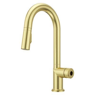Pfister GT572-TNT Tenet Single Handle Pull-Down Bar & Prep Faucet Less Handle