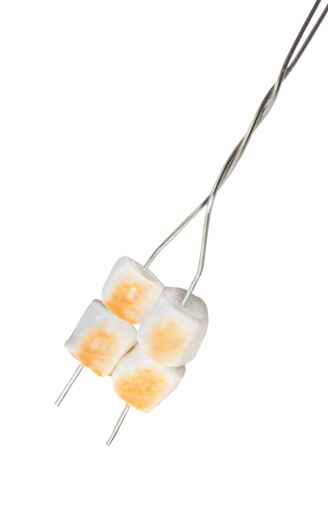 Coghlan's 8975 20" Toaster Forks, 4pk.