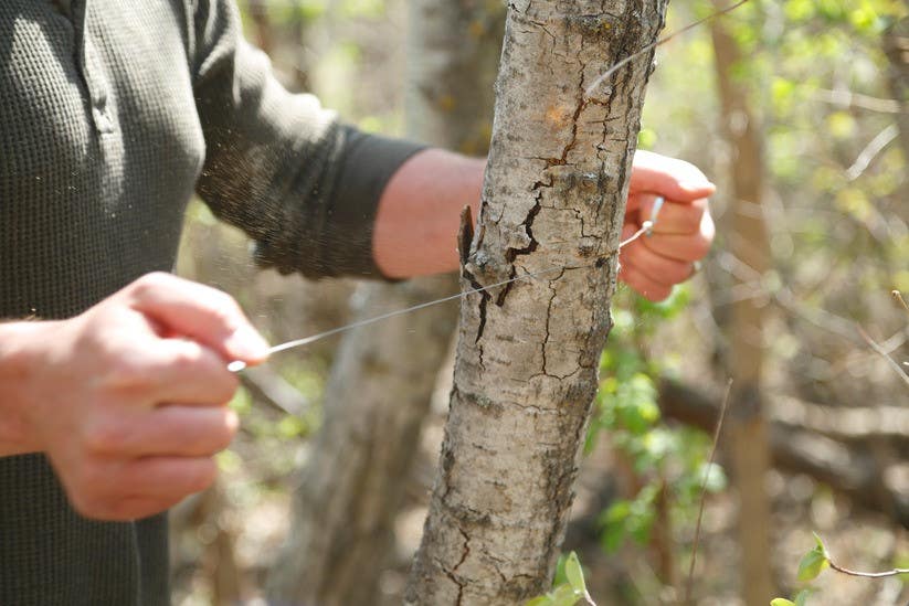 Coghlan's 704 20" Sportsman's Pocket Wire Saw