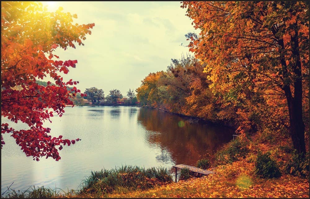 AccuformNMC LPM Table-Gard, Disposable Work Mats, 12.5" H x 19.5" W, 10/Pk