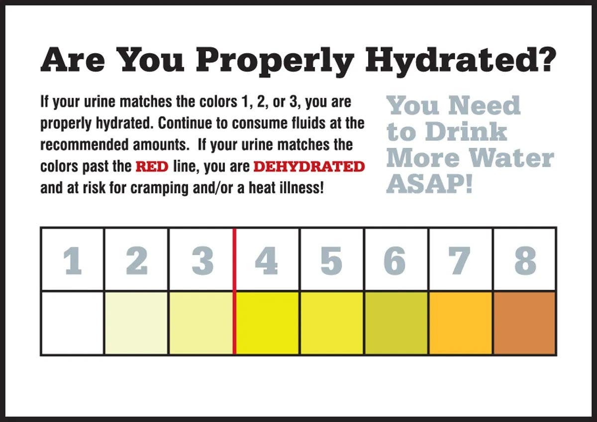 AccuformNMC LRST50 Safety Label, Are You Properly Hydrated, Adhesive Vinyl, 5/Pk