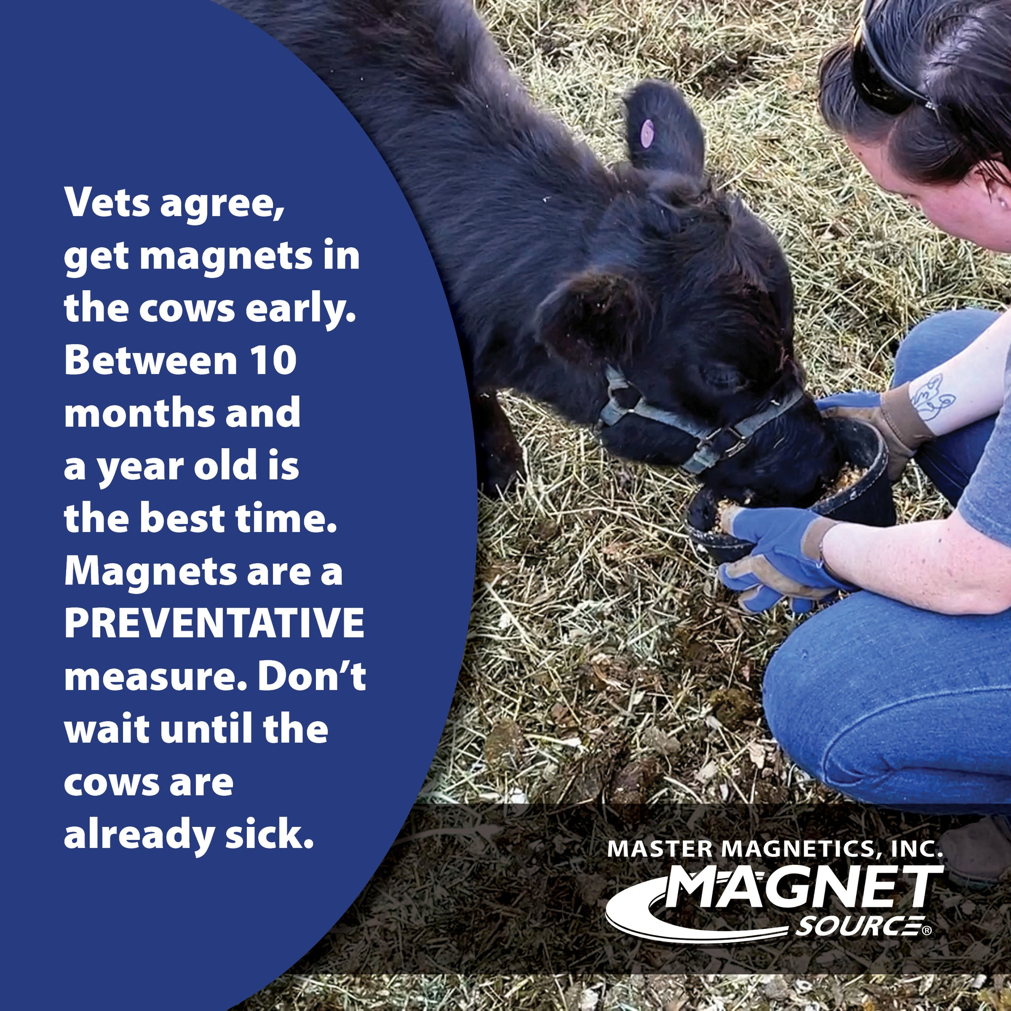 Magnet Source 07239 Alnico Cow Magnet (2 Pk)