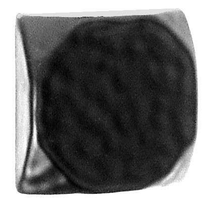 Acorn CLBP Clavos Square/Pyramid Decorative Stud