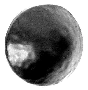 Acorn CL9BP Clavos Decorative 1-5/8" Stud