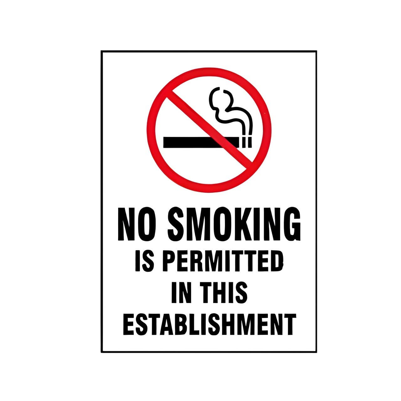 AccuformNMC MSMG569 Smoking Sign, No Smoking Is Permitted In This Establishment, 14" H x 10" W