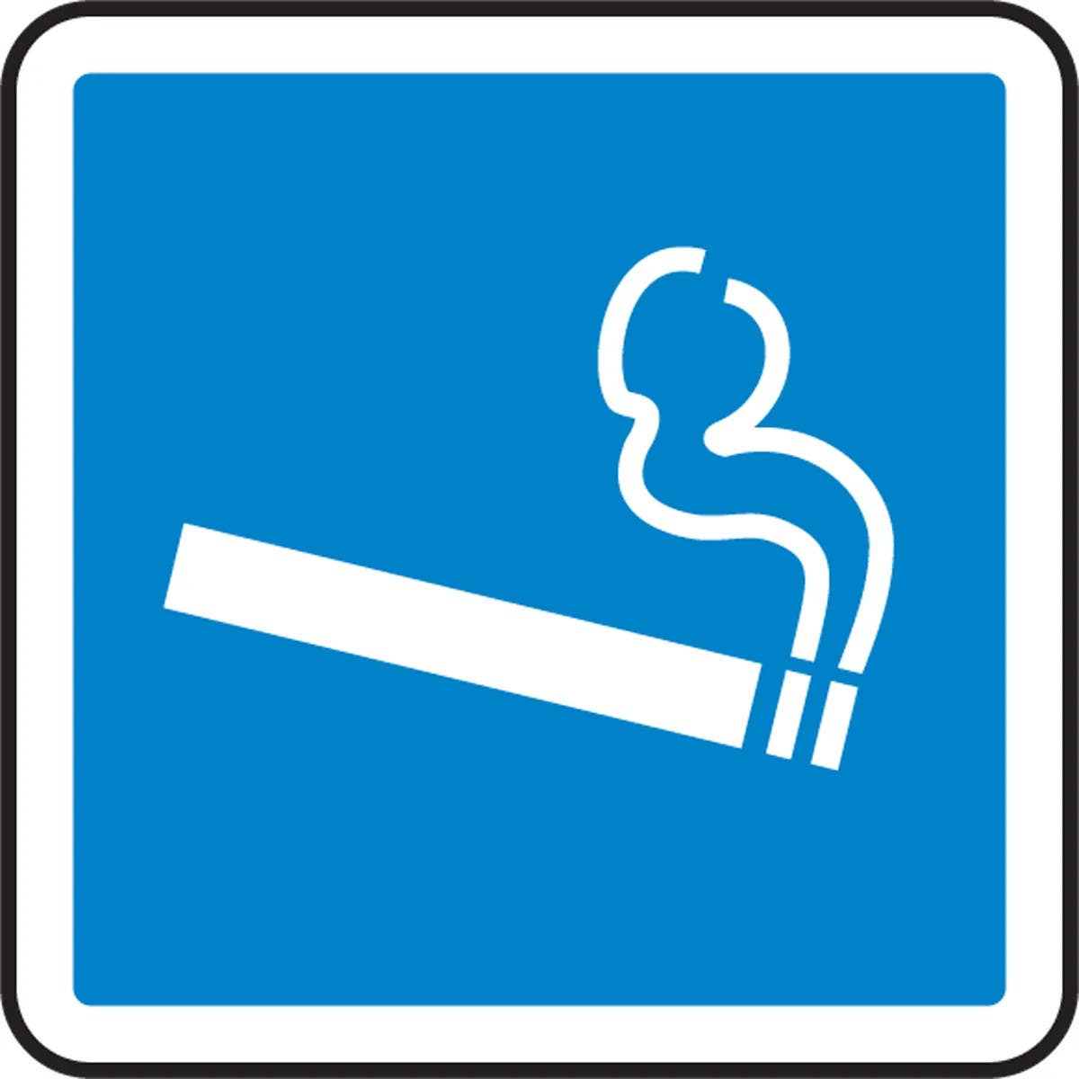 AccuformNMC MPCS5 CSA Pictograms Sign, Smoking Section (Graphic)