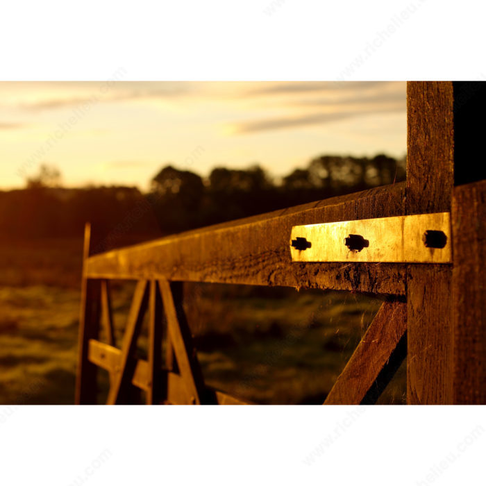 Richelieu 93 Screw Hook with Strap Hinge