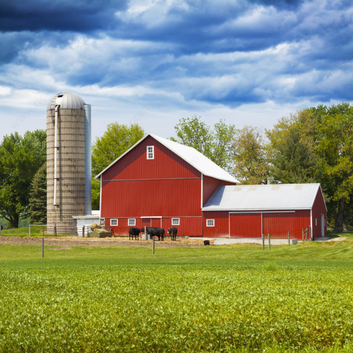 Richelieu 47860R Magnetic Bulk Parts Lifter