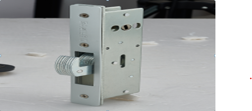 Easilok SM11 Mortise(Smart Storefront Door Lock)