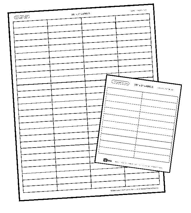 Lucky Line 1956 File-A-Key Base Labels 3/8" x 1" (12 pack)