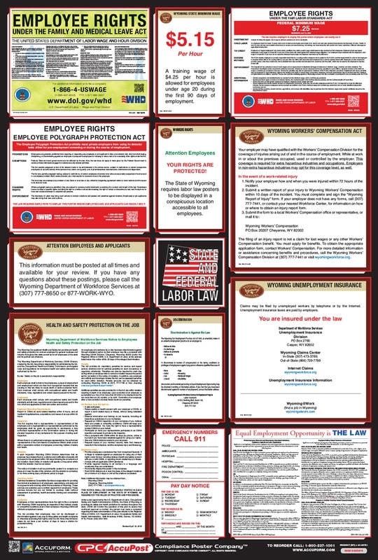 AccuformNMC PPG300 OSHA Safety Poster, Combo State, Federal & OSHA Labor Law Posters, 40" H x 27" W