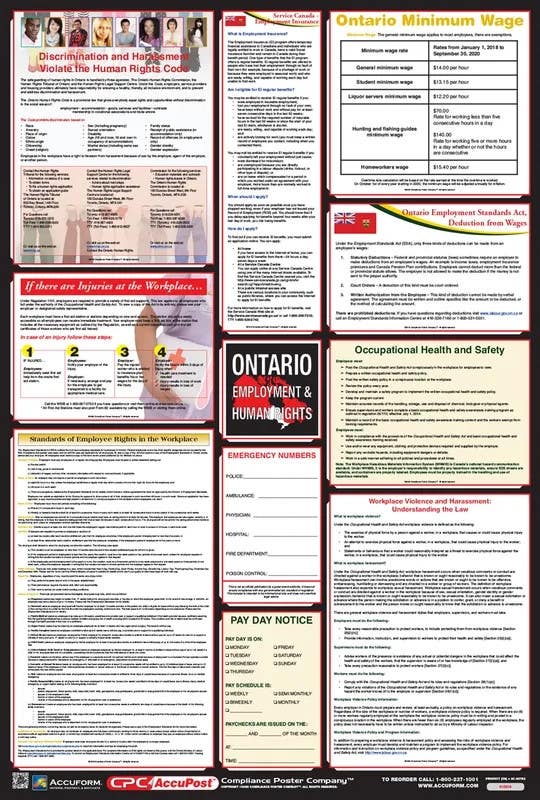 AccuformNMC PPG Posters, Canadian Employment And Labour Standards, 40" H x 27" W