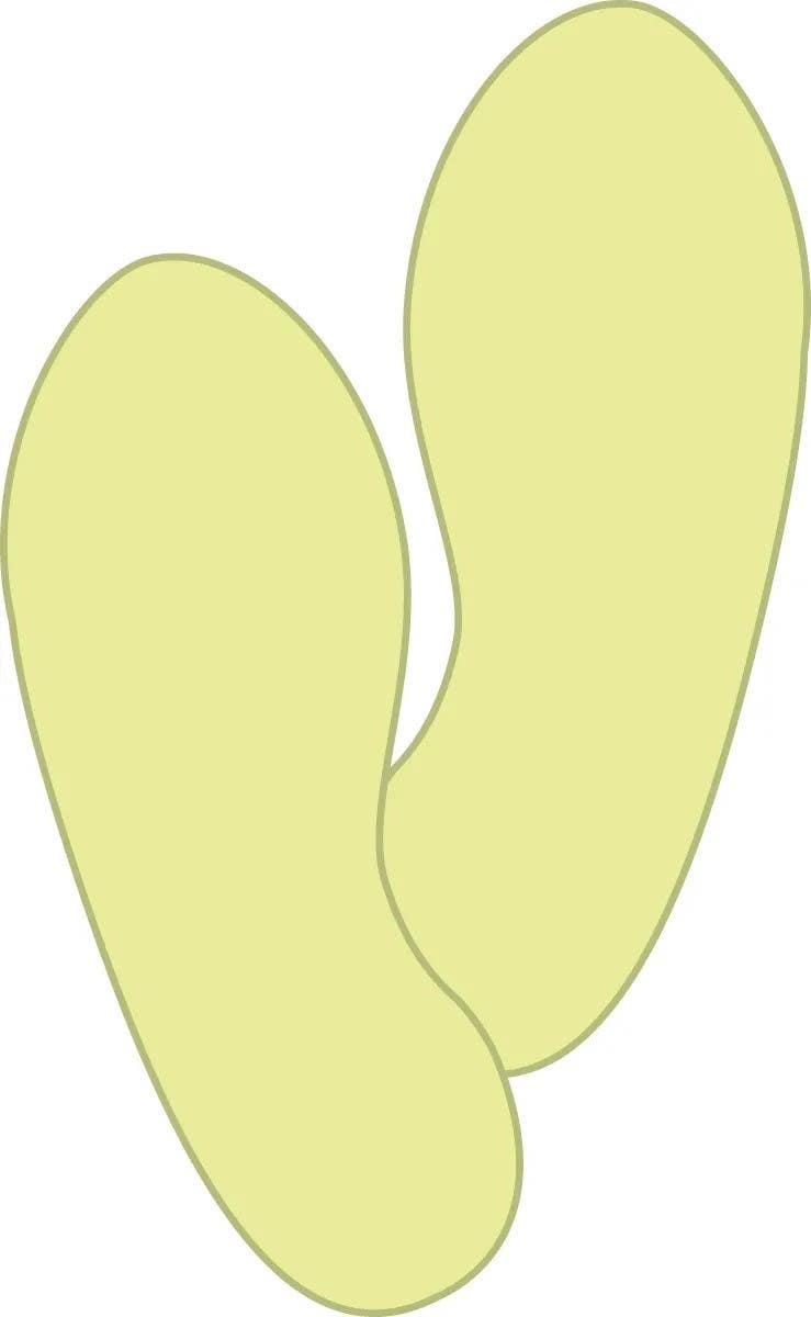 AccuformNMC PTS47 Glow-In-The-Dark Shapes, Footprint, 1 Pair/Pk