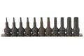 Genius Tools TX-311 11PC 3/8" Dr. Star Head Driver Set